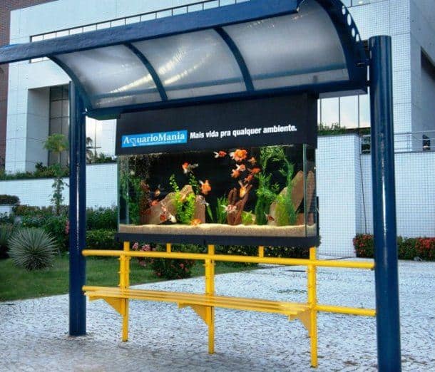 Bus Stop Aquarium