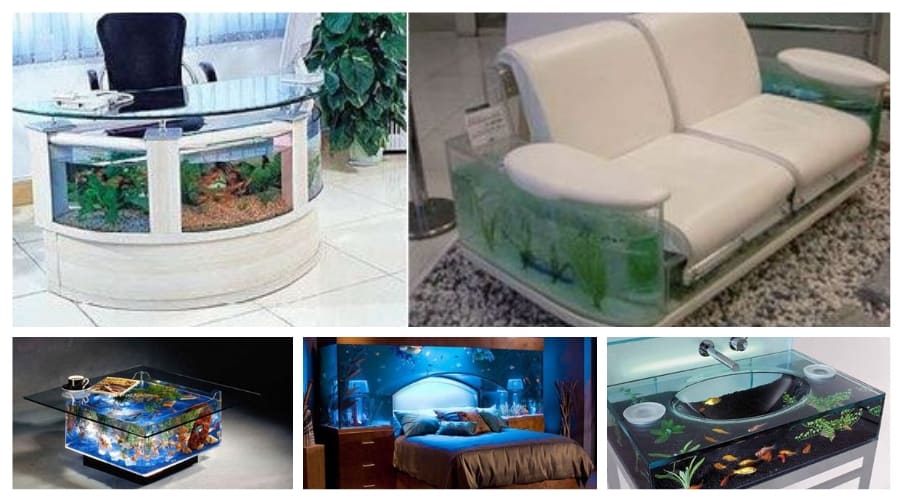 Different kinds of fish tank designs