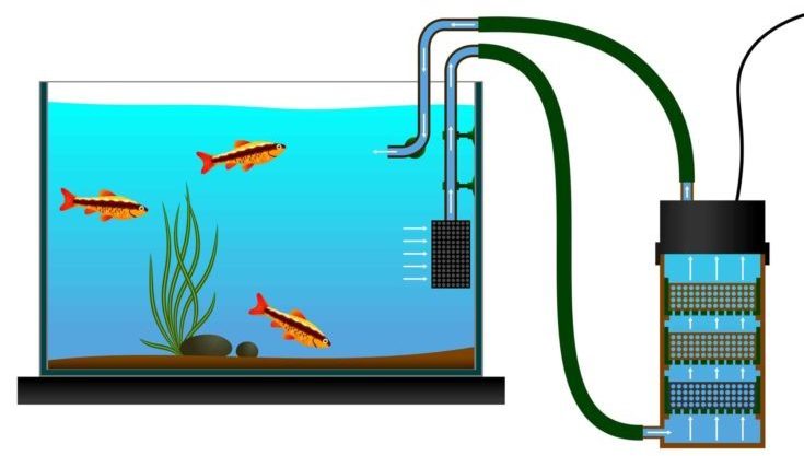 Aquarium equipment. External Aquarium Fish Tank Canister Filter. Vector illustration. The scheme of the external aquarium bio filter. – stock illustration