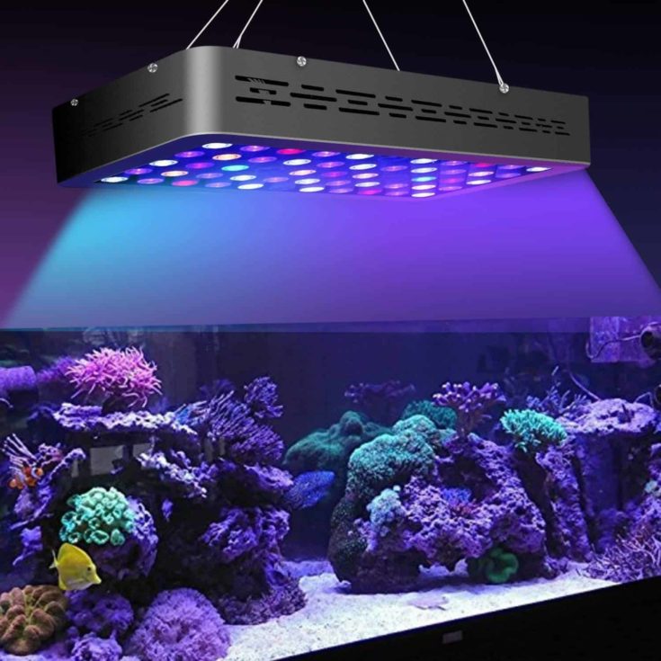 MarsAqua Dimmable Coral Reef Light Full Spectrum in action