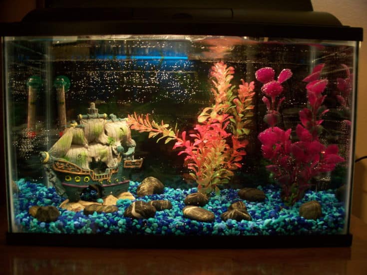 Pirate Ship decor fish tank