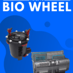 Canister Filter VS Bio Wheel - Pin