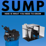 Canister Filter VS Sump: Here Is What You Need To Know - Pin