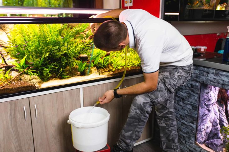 Young man changing water in aquarium using siphon.