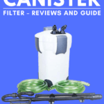 Finding The Best Canister Filter – Reviews and Guide
