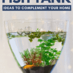 27 Small Fish Tank Ideas to Complement Your Home - pin