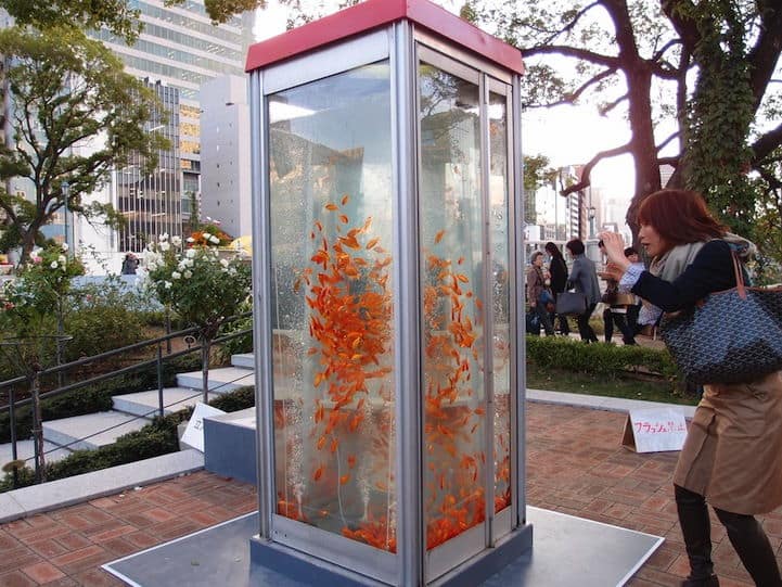 woman taking picture to Payphone Goldfish Tank