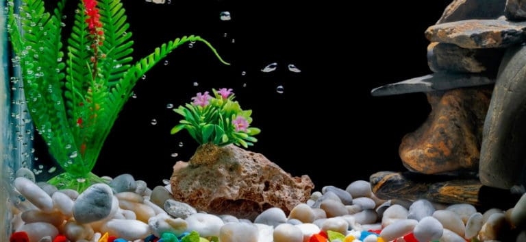 Aquarium with decorations and bubbles on water.