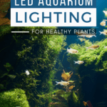 Best LED Aquarium Lighting for Healthy Plants - Pin