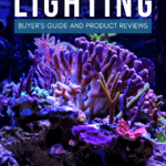 Best Reef LED Lighting—Buyer’s Guide and Product Reviews - Pin