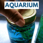 Can’t Have Real Fish_ Make a Fake Jar Aquarium - Pin