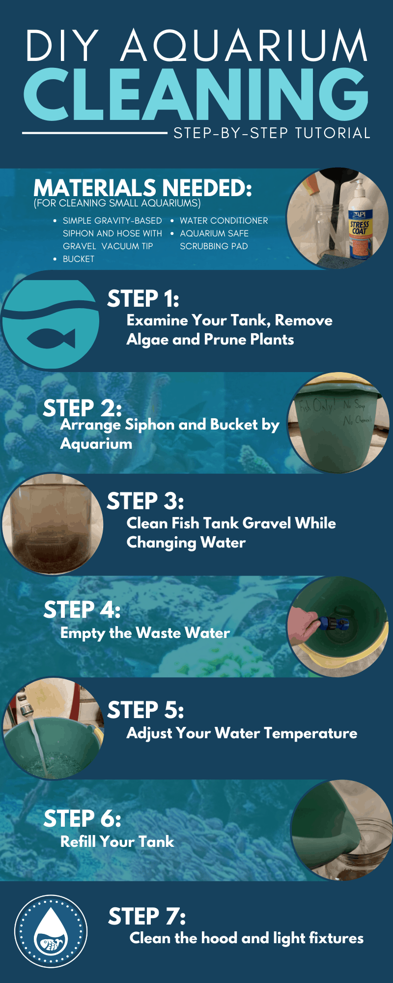 DIY Aquarium Cleaning—Step-by-Step Tutorial - Infographic