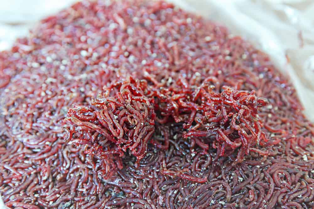 Frozen bloodworm for feeding aquarium fish and crabs.