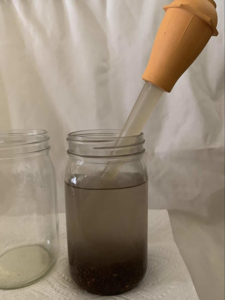 Removing dirty water from jar using turkey baster.