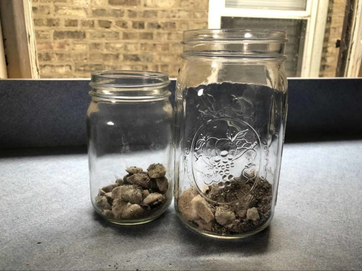 Pebbles added to the jars.