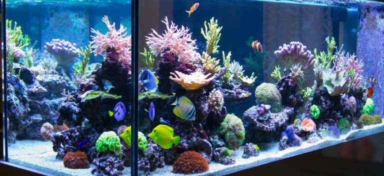 Aquarium with lights and beautiful aquascape