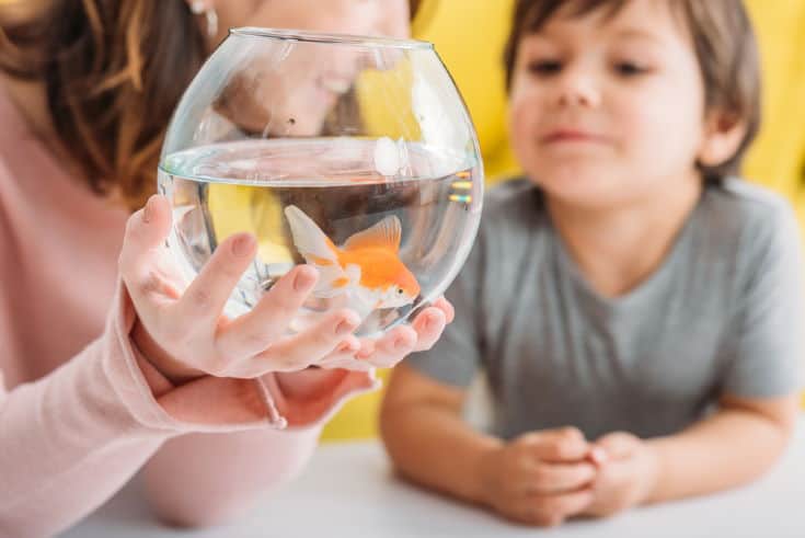 happy mother showing to her child a fish bowl with gold fish inside