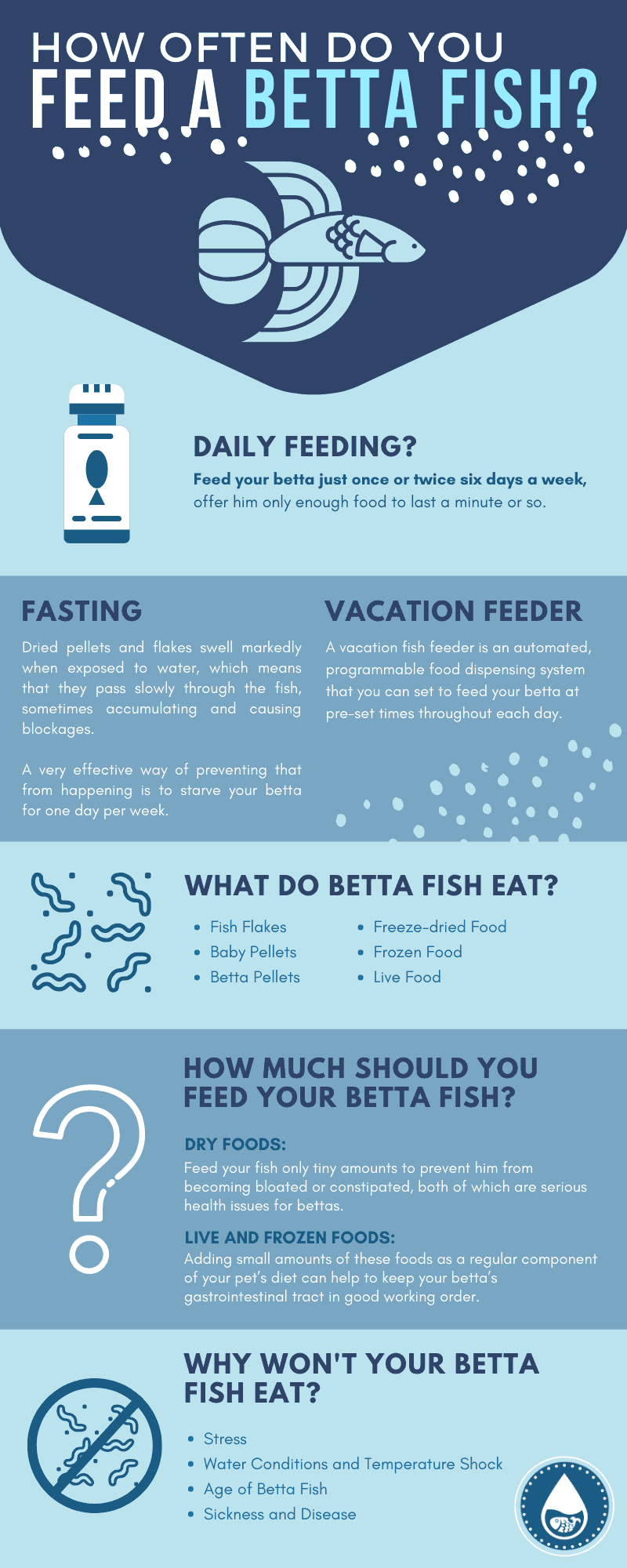 How Often Do You Feed A Betta Fish- infographics
