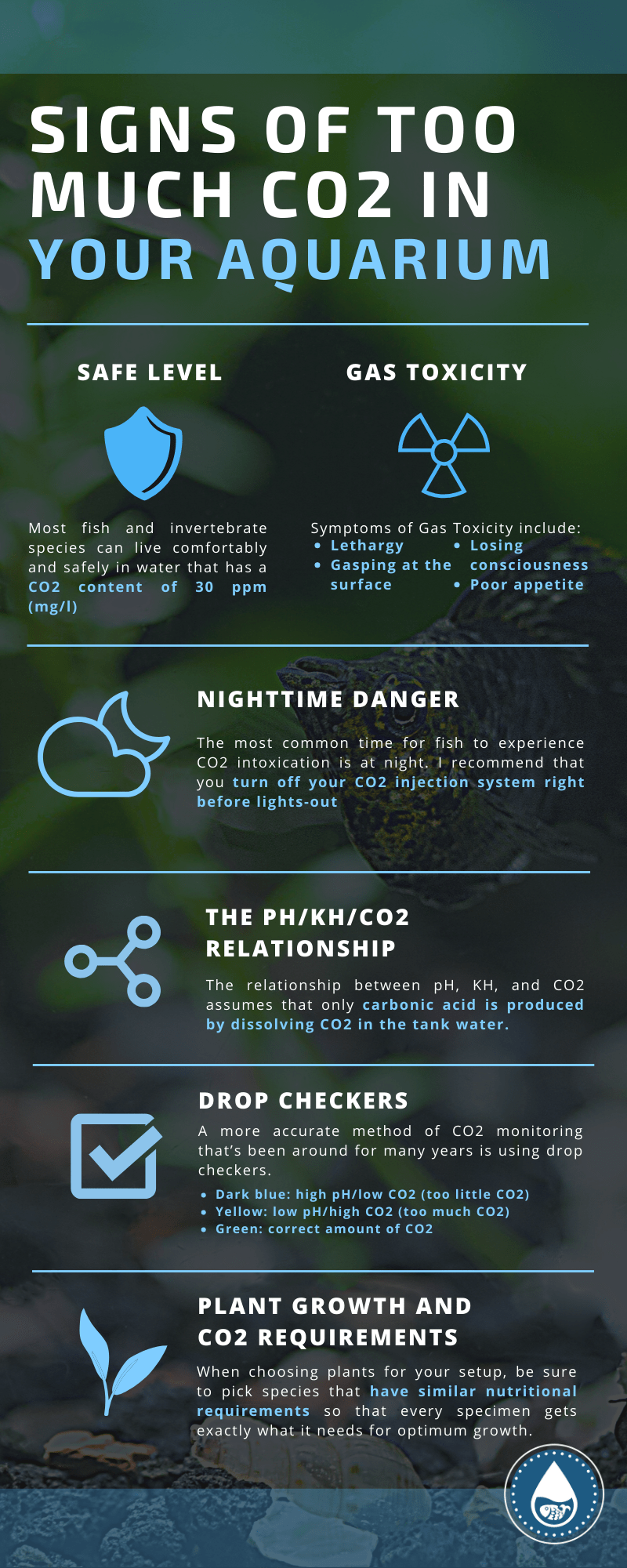 Signs Of Too Much CO2 In Your Aquarium - Infographic