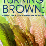 Aquarium Plants Turning Brown? A Short Guide to Planted Tank Problems - Pin