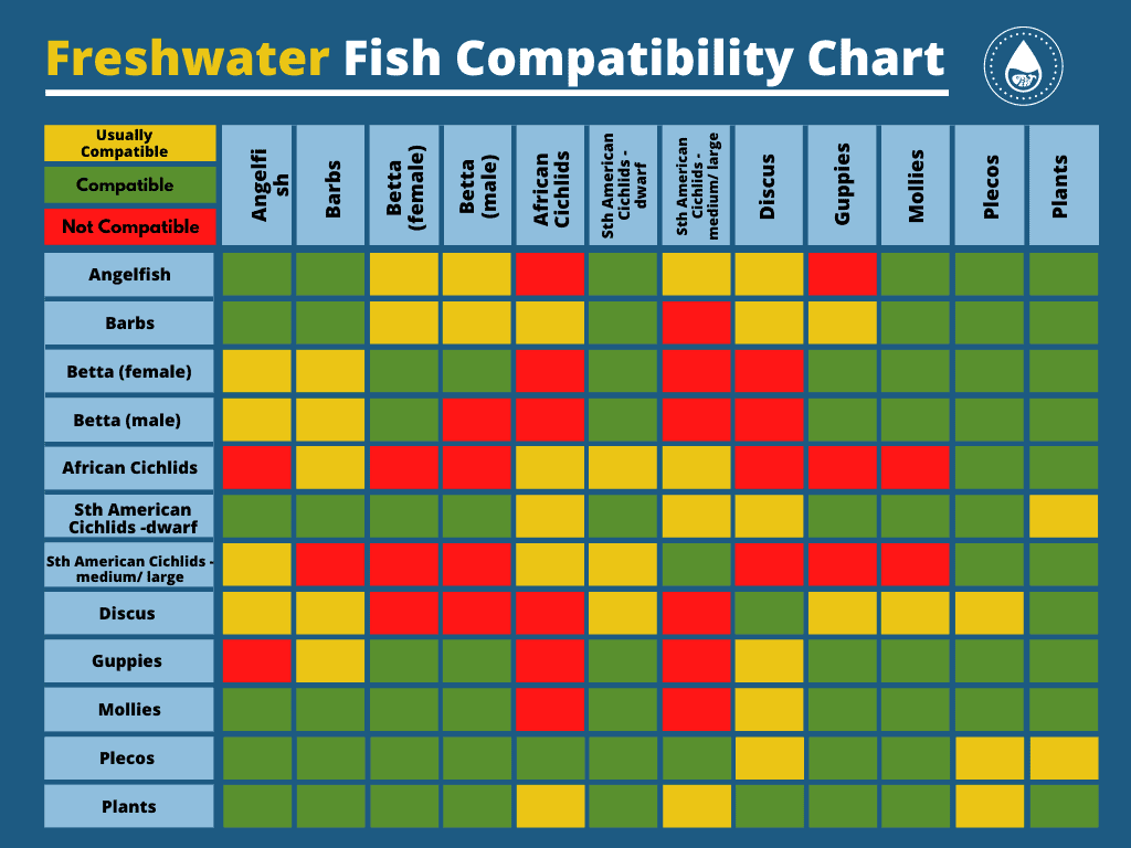 fish-compatibility-chart-for-freshwater-and-saltwater-pets