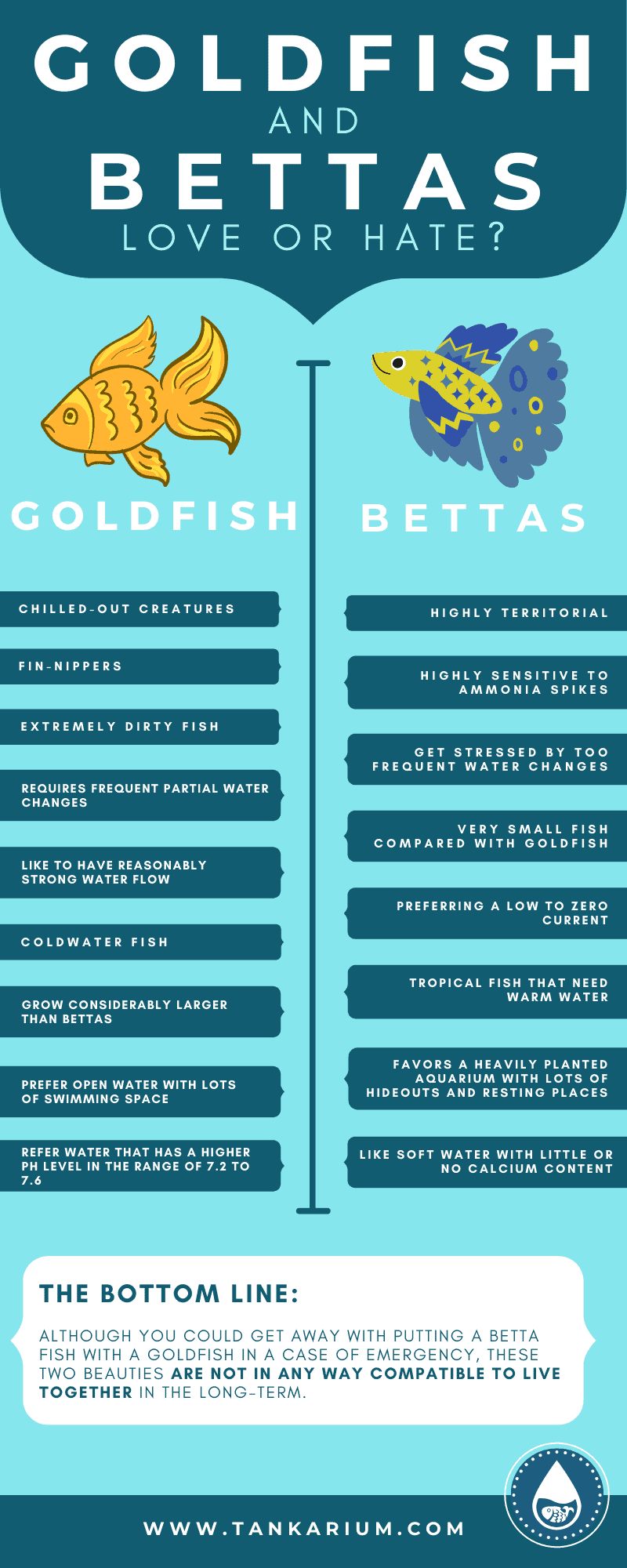 Goldfish And Bettas- Love Or Hate? - Infographic