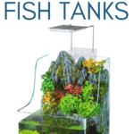 Guide to the Best Self Cleaning Fish Tanks-pin