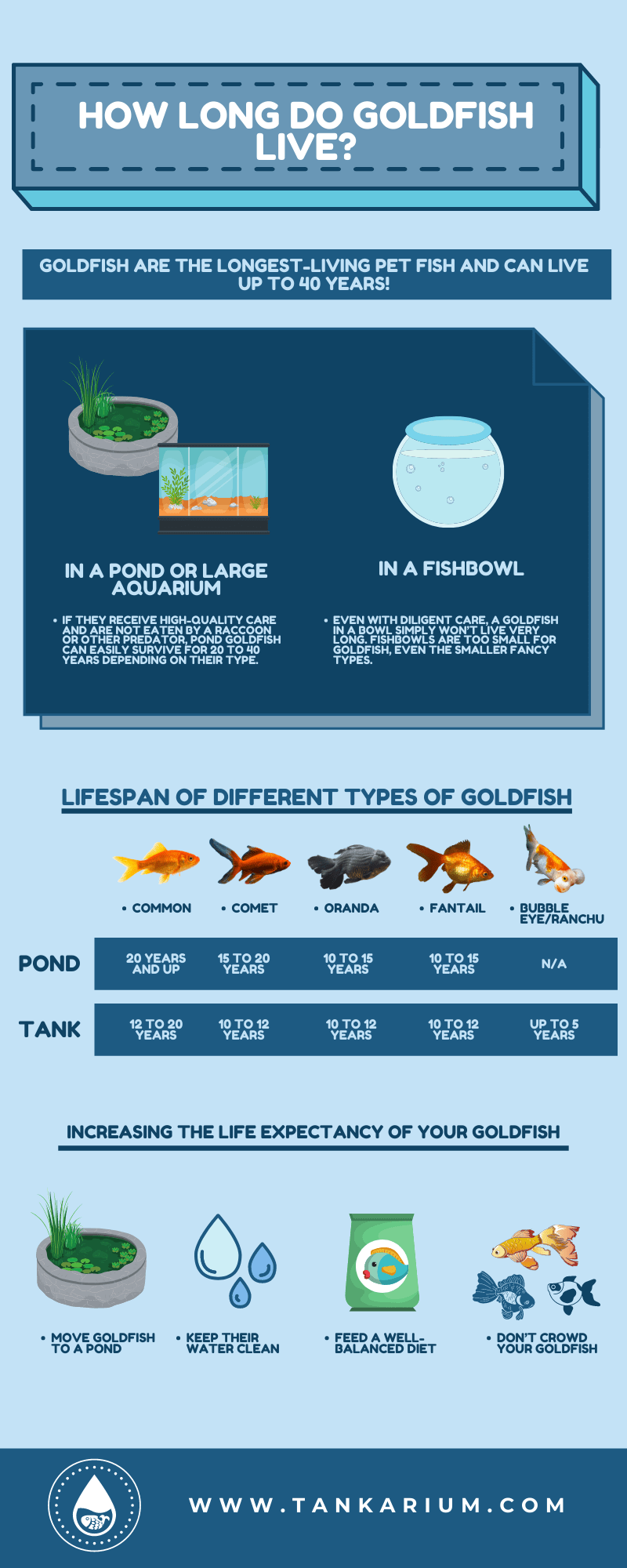 How Long do Goldfish Live? - Infographic