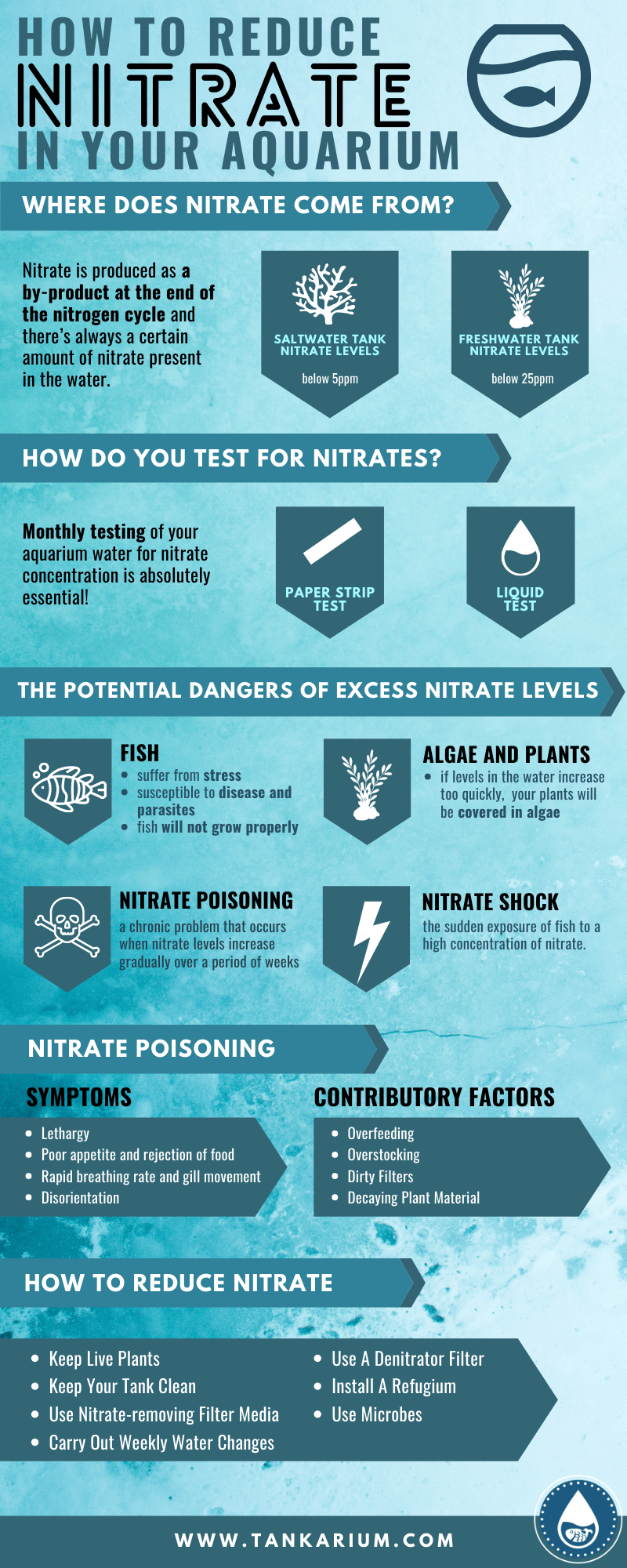 How To Reduce Nitrate In Your Aquarium - Infographic