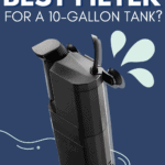 What’s The Best Filter For A 10-Gallon Tank? - Pin