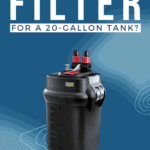 What’s The Best Filter For A 20-Gallon Tank? - Pin