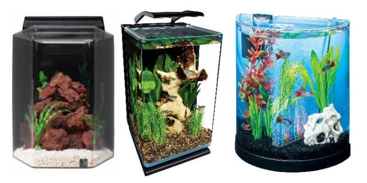 Aquariums for beginners in three designs.