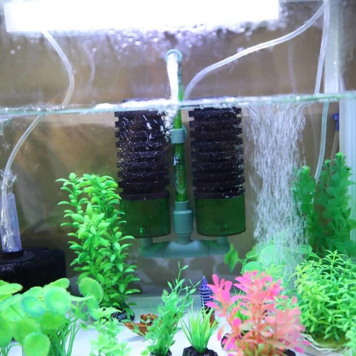 Huijukon Sponge Filter, Aquarium Cleaner Sponge Filter Fish Tank Filter Bio Filter Sponge - Up to 60 Gallons