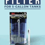 Best Aquarium Filter For 5-Gallon Tanks-pin