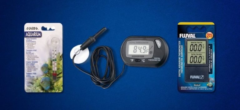 Aquarium Thermometer in blue background