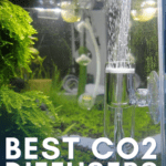 Best CO2 Diffusers for Planted Aquariums - Pin