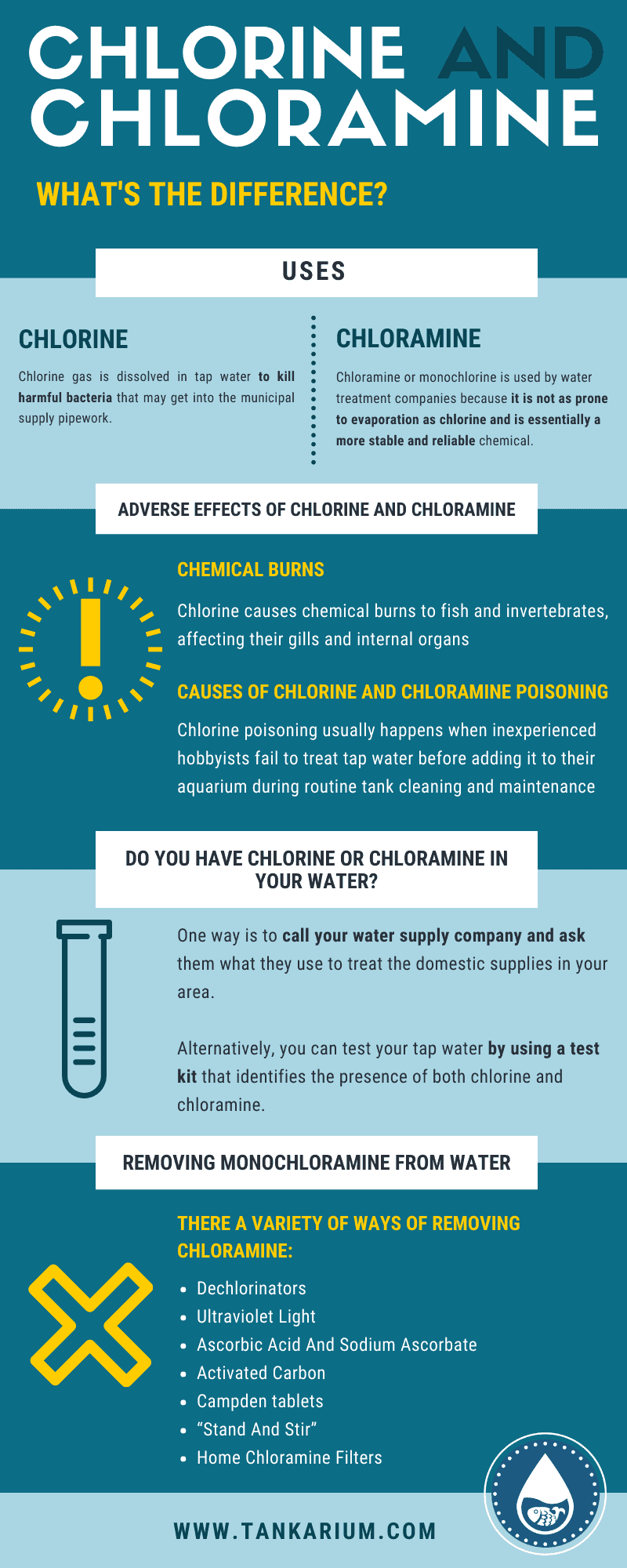 Chlorine And Chloramine - What’s The Difference-infographic