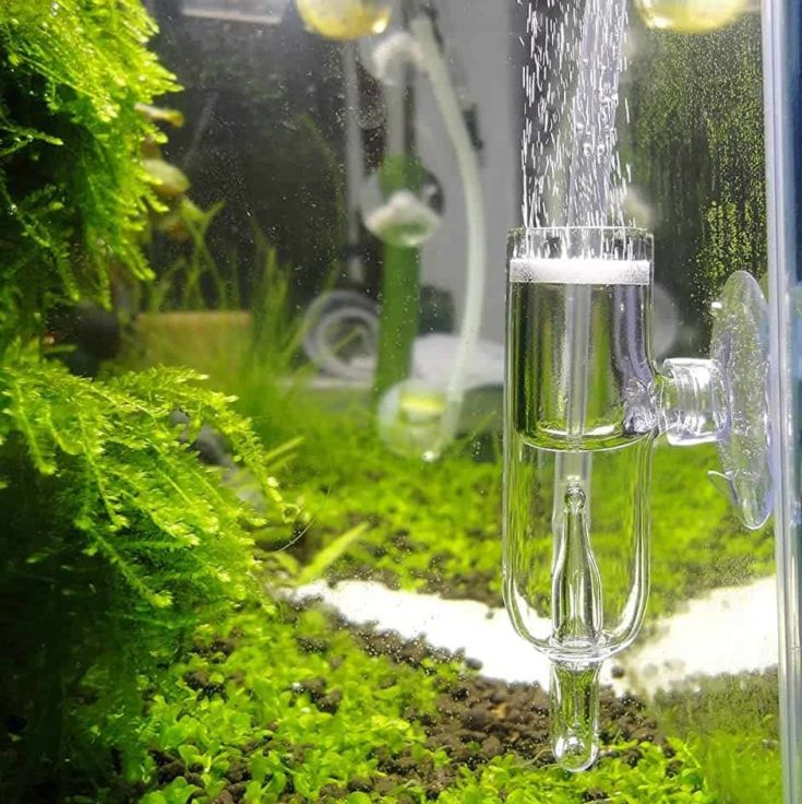 ##1 U Shape Glass Fish Tank Aquarium CO2 Diffuser Carbon Dioxide Reactor CO2 Supply