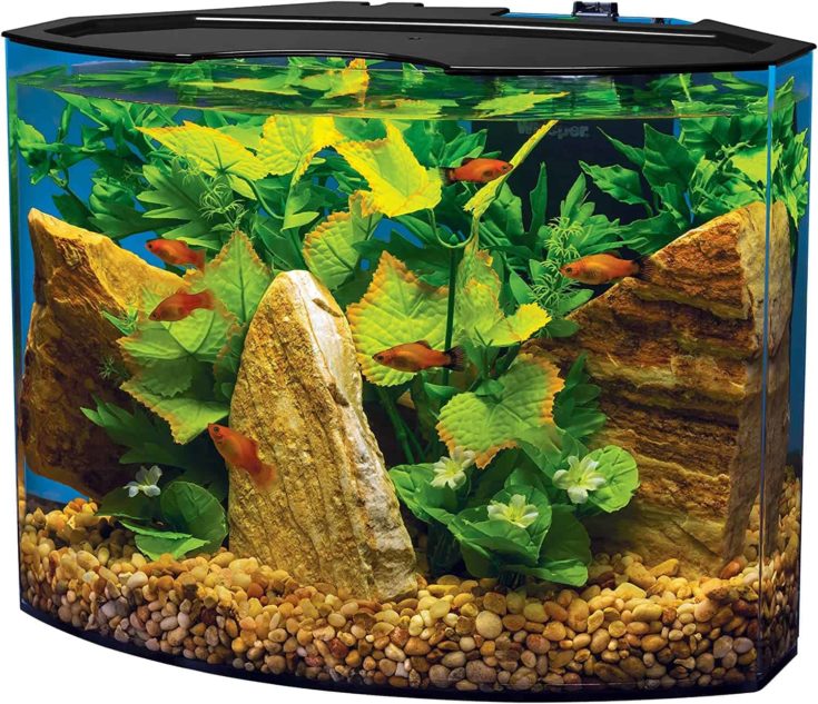 Tetra Crescent Acrylic Aquarium Kit, Energy Efficient LEDs