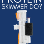 What Does a Protein Skimmer Do?-pin