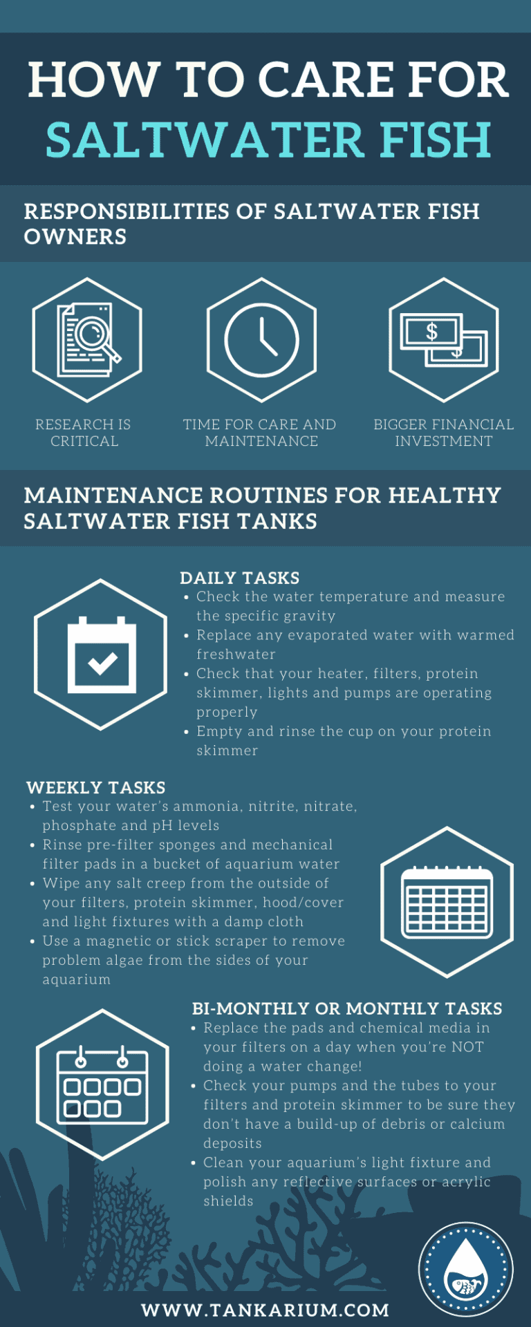 Curated visual reference: Fresh Look at How To Care For Saltwater Fish