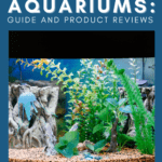 Best Nano Aquariums: Guide and Product Reviews - Pin