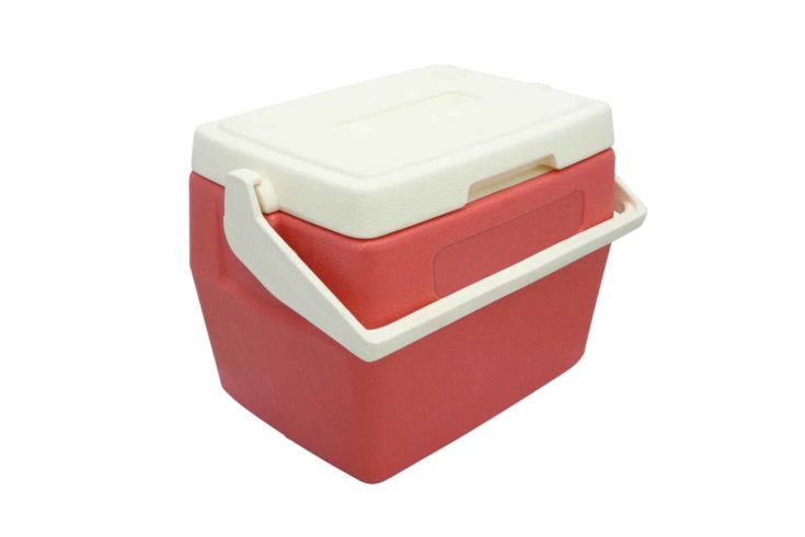 Plastic cooler box closed cover on white background.