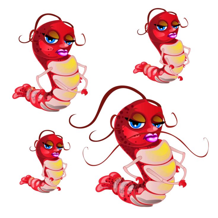 Fantasy animated shrimp isolated on white background. Vector cartoon close-up illustration