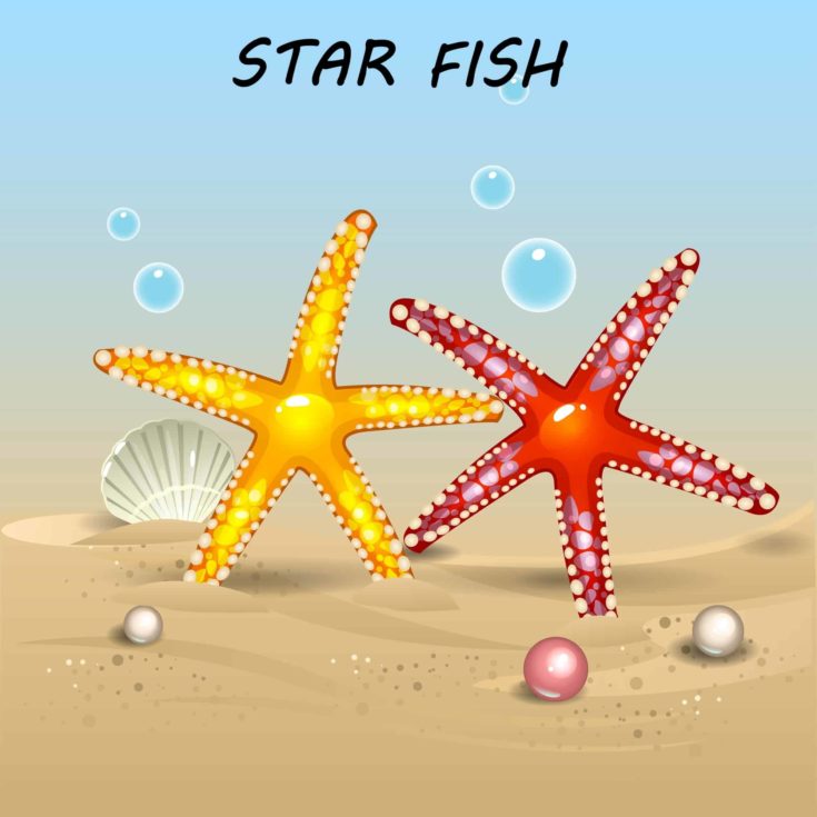 Starfish in the sea