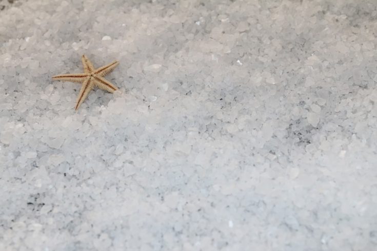 salt with starfish