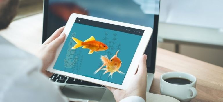 Man holding a tablet with a picture of goldfish