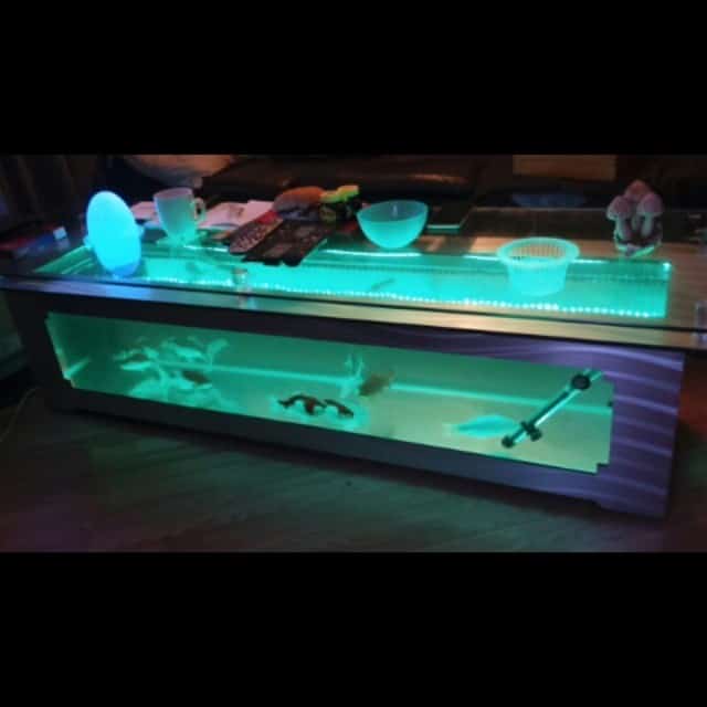 Simple Fish Tank Coffee Table with Lights