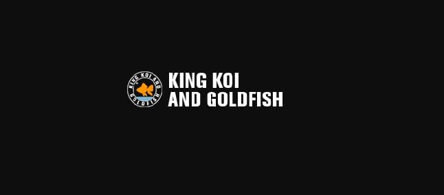 King Koi and Goldfish logo