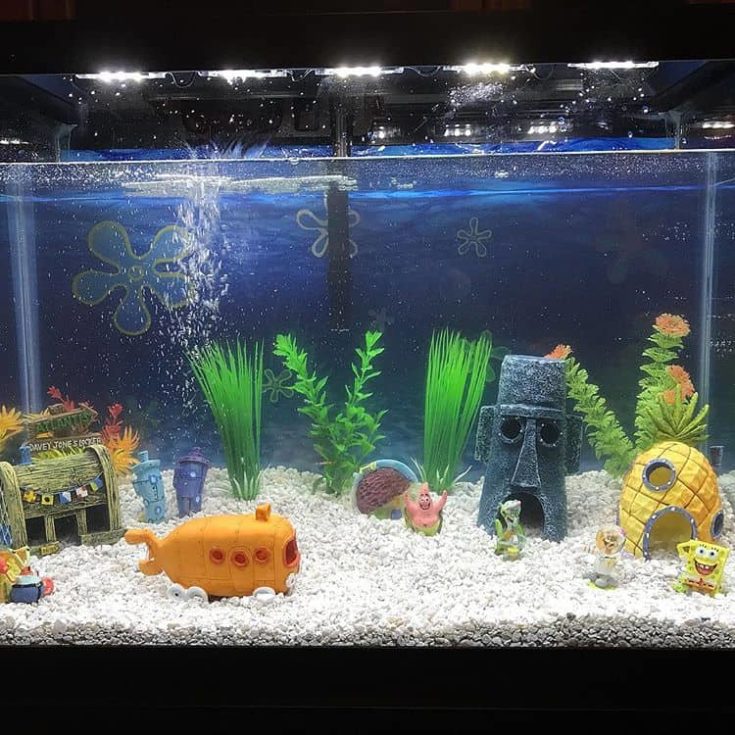 The Best Aquarium Decorations in 2023 - Top Reviews by Kansas City Star